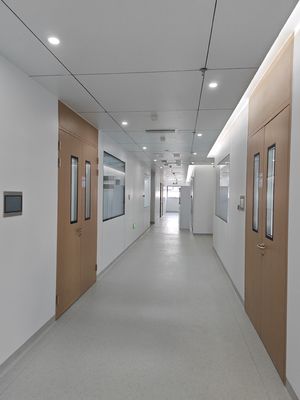 Αγορά Ξύλινη Στάλη Δύο Καθαρό δωμάτιο Κουνούμενη πόρτα Νοσοκομείο Μεταλλικές πόρτες με γυάλινη όραση online manufacture
